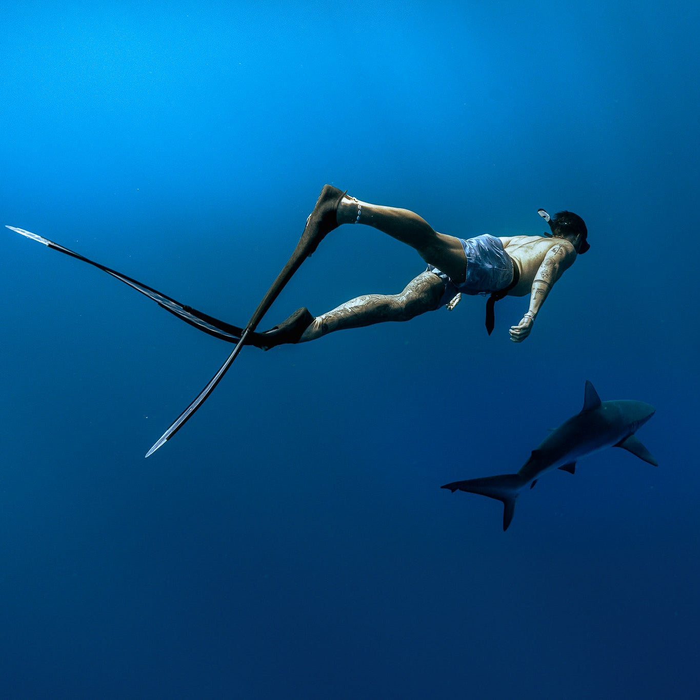 Person swimming with a shark in the deep blue ocean