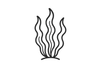 outline seaweed icon